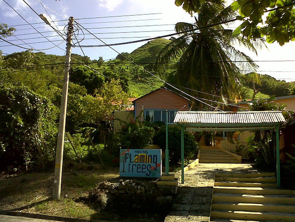 Hotel Flemming Tree Providencia Island Exterior foto