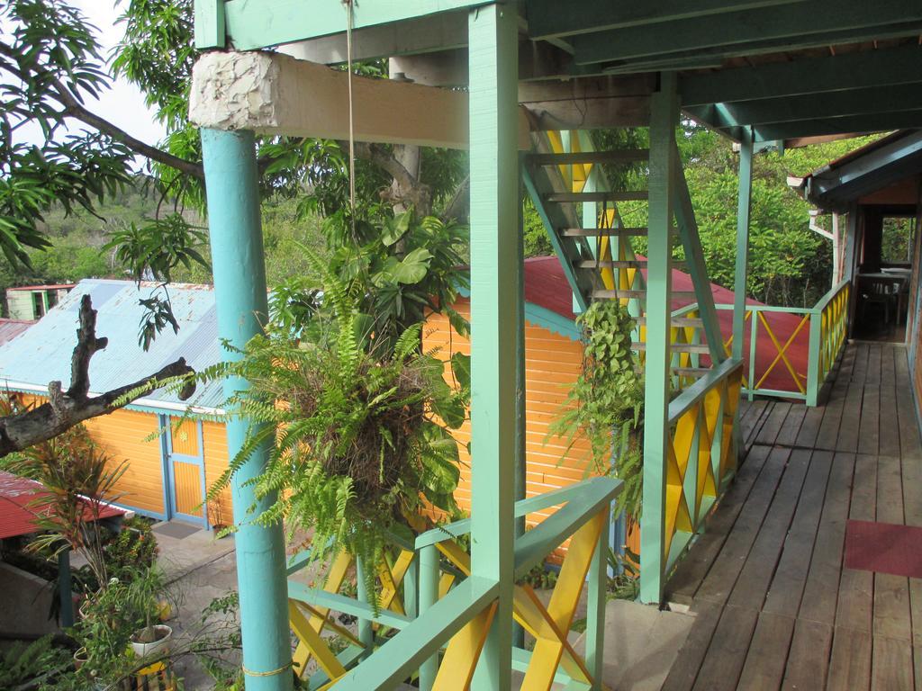 Hotel Flemming Tree Providencia Island Exterior foto