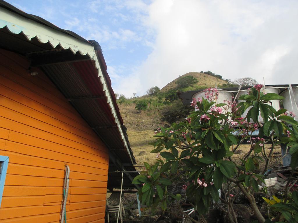 Hotel Flemming Tree Providencia Island Exterior foto