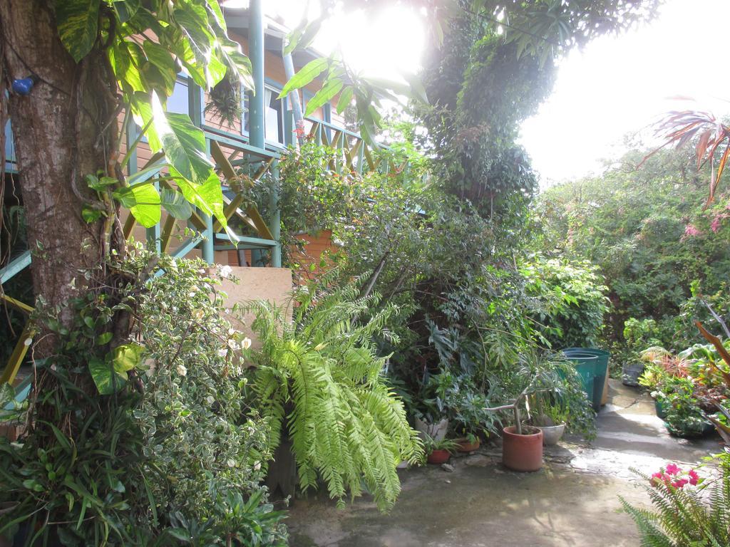 Hotel Flemming Tree Providencia Island Exterior foto