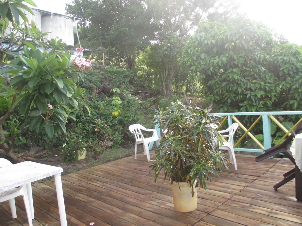 Hotel Flemming Tree Providencia Island Exterior foto
